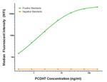 PCDH7 Antibody in Luminex (LUM)