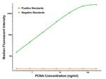 PCNA Antibody in Luminex (LUM)