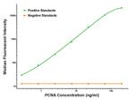 PCNA Antibody in Luminex (LUM)