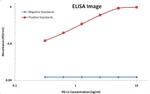 PD-L1 Antibody in ELISA (ELISA)