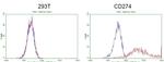 PD-L1 Antibody in Flow Cytometry (Flow)