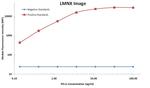 PD-L1 Antibody in Luminex (LUM)