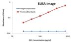 PDCD1 Antibody in ELISA (ELISA)