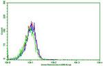 PDCD1 Antibody in Flow Cytometry (Flow)