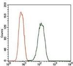 PDE1B Antibody in Flow Cytometry (Flow)