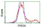 PDE2A Antibody in Flow Cytometry (Flow)