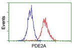 PDE2A Antibody in Flow Cytometry (Flow)