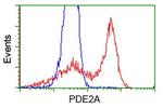 PDE2A Antibody in Flow Cytometry (Flow)