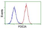 PDE2A Antibody in Flow Cytometry (Flow)