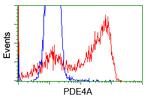 PDE4A Antibody in Flow Cytometry (Flow)