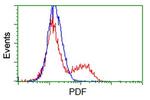 PDF Antibody in Flow Cytometry (Flow)