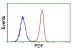 PDF Antibody in Flow Cytometry (Flow)