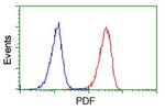 PDF Antibody in Flow Cytometry (Flow)