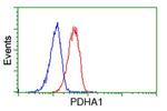 PDHA1 Antibody in Flow Cytometry (Flow)