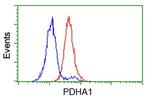 PDHA1 Antibody in Flow Cytometry (Flow)