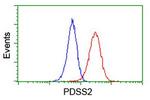 PDSS2 Antibody in Flow Cytometry (Flow)