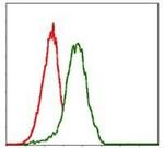 PDX1 Antibody in Flow Cytometry (Flow)