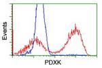 PDXK Antibody in Flow Cytometry (Flow)