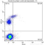 LPAM-1 Antibody in Flow Cytometry (Flow)