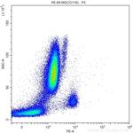 CD116 Antibody in Flow Cytometry (Flow)