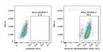 MICA/MICB Antibody in Flow Cytometry (Flow)