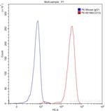 CD13 Antibody in Flow Cytometry (Flow)