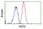 PEPD Antibody in Flow Cytometry (Flow)