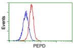 PEPD Antibody in Flow Cytometry (Flow)