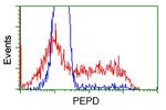 PEPD Antibody in Flow Cytometry (Flow)