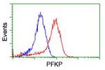 PFKP Antibody in Flow Cytometry (Flow)