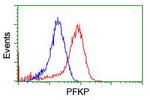 PFKP Antibody in Flow Cytometry (Flow)