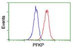 PFKP Antibody in Flow Cytometry (Flow)