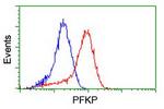 PFKP Antibody in Flow Cytometry (Flow)