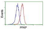 PFKP Antibody in Flow Cytometry (Flow)