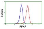 PFKP Antibody in Flow Cytometry (Flow)