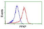 PFKP Antibody in Flow Cytometry (Flow)