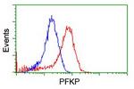 PFKP Antibody in Flow Cytometry (Flow)