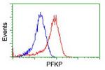 PFKP Antibody in Flow Cytometry (Flow)