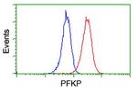 PFKP Antibody in Flow Cytometry (Flow)