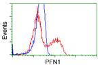 PFN1 Antibody in Flow Cytometry (Flow)