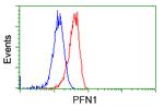 PFN1 Antibody in Flow Cytometry (Flow)