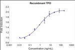 Human TPO (Thrombopoietin) Protein in Functional Assay (FN)