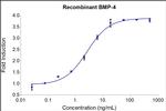 Human BMP-4 Protein in Functional Assay (Functional)