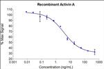 Human Activin A Protein in Functional Assay (Functional)