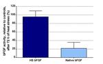 Human Heat Stable bFGF Protein in Functional Assay (Functional)