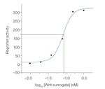 Wnt Surrogate-Fc Fusion Protein in Functional Assay (FN)