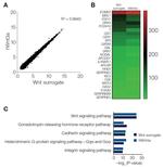 Wnt Surrogate-Fc Fusion Protein in Functional Assay (FN)