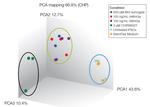 Wnt Surrogate-Fc Fusion Protein in Functional Assay (FN)