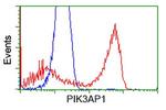 PIK3AP1 Antibody in Flow Cytometry (Flow)