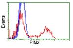 PIM2 Antibody in Flow Cytometry (Flow)